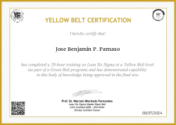 YELLOW BELT CERTIFICATION