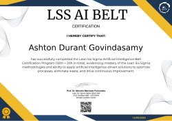 LSS AI BELT CERTIFICATION