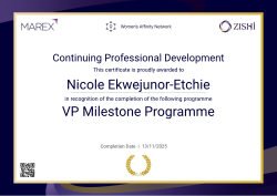 VP Milestone Programme