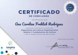 Especialista em Cultura Organizacional - Módulo Fundamentos da Cultura - Copy
