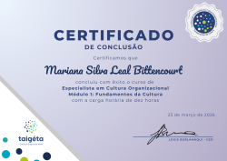 Especialista em Cultura Organizacional - Módulo Fundamentos da Cultura - Copy