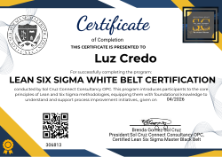 LEAN SIX SIGMA WHITE BELT CERTIFICATION