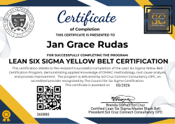 LEAN SIX SIGMA YELLOW BELT CERTIFICATION