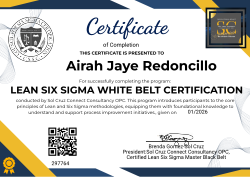 LEAN SIX SIGMA WHITE BELT CERTIFICATION