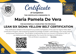 LEAN SIX SIGMA YELLOW BELT CERTIFICATION