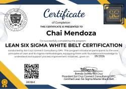 LEAN SIX SIGMA WHITE BELT CERTIFICATION