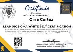 LEAN SIX SIGMA WHITE BELT CERTIFICATION