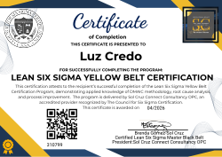 LEAN SIX SIGMA YELLOW BELT CERTIFICATION
