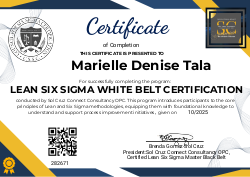 LEAN SIX SIGMA WHITE BELT CERTIFICATION