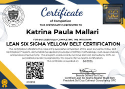 LEAN SIX SIGMA YELLOW BELT CERTIFICATION