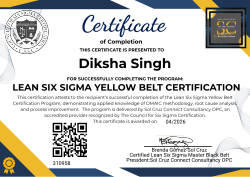 LEAN SIX SIGMA YELLOW BELT CERTIFICATION