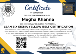 LEAN SIX SIGMA YELLOW BELT CERTIFICATION