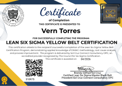 LEAN SIX SIGMA YELLOW BELT CERTIFICATION