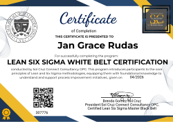 LEAN SIX SIGMA WHITE BELT CERTIFICATION