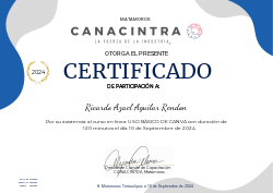 USO BÁSICO DE CANVA