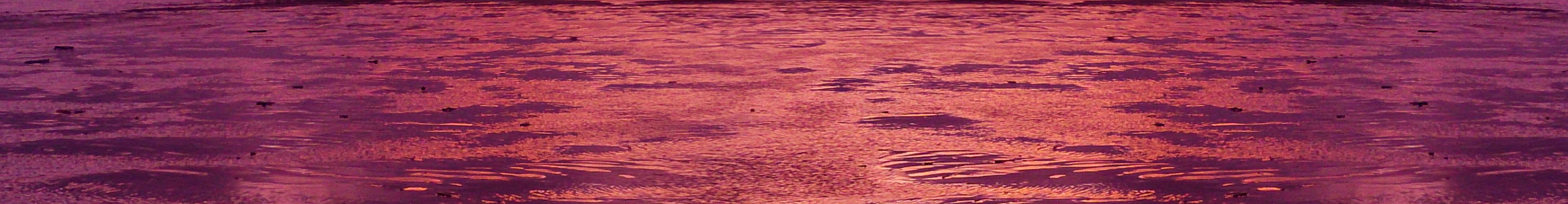Promotional banner 2 of 2